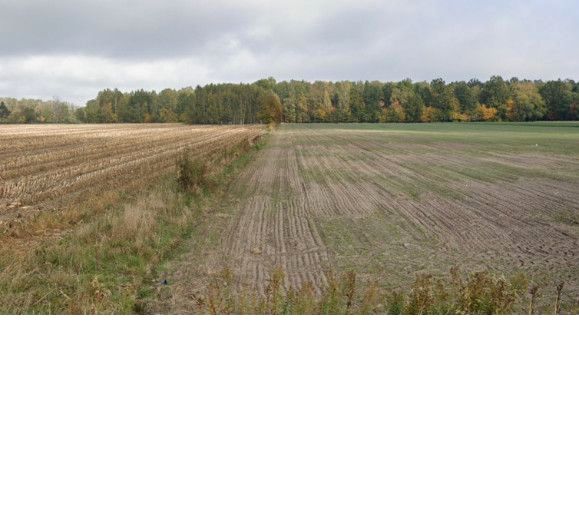 Zdjęcie 2