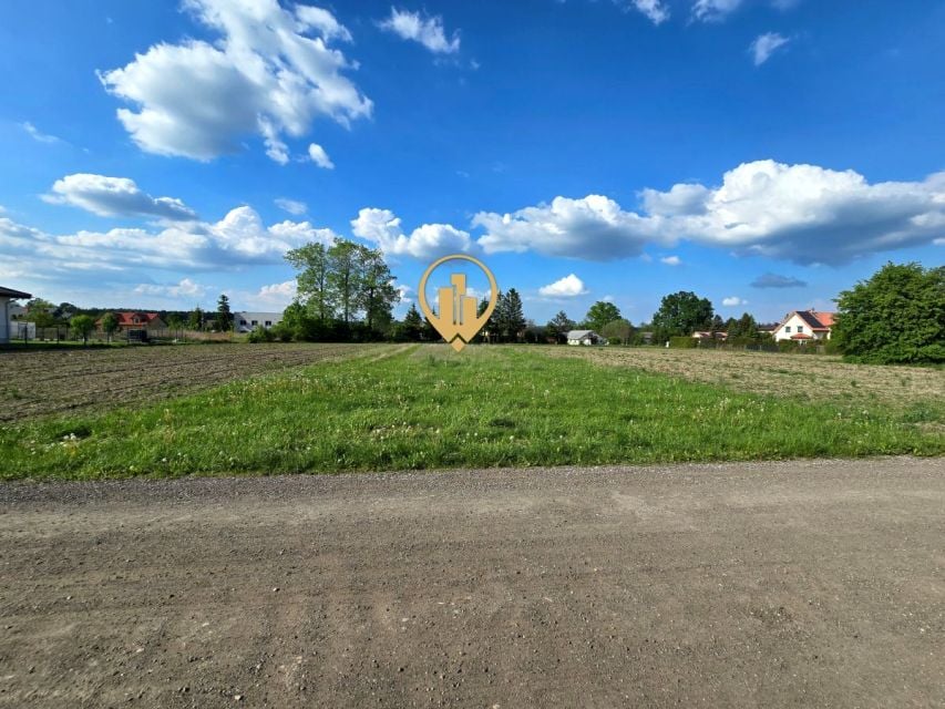 Zdjęcie 2