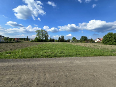 Działka budowlana Królewiec
