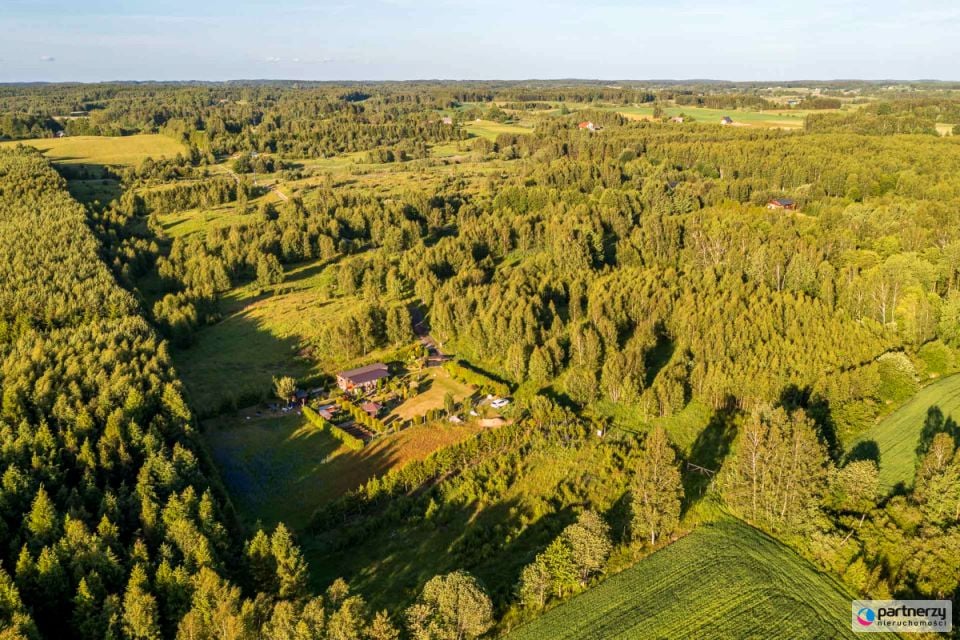 Działka przy lesie