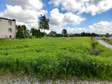 Działka Borowa