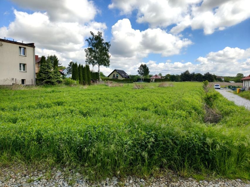 Działka Borowa