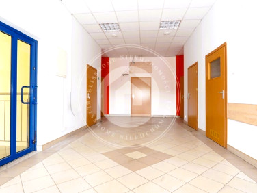 Lokal Rzeszów