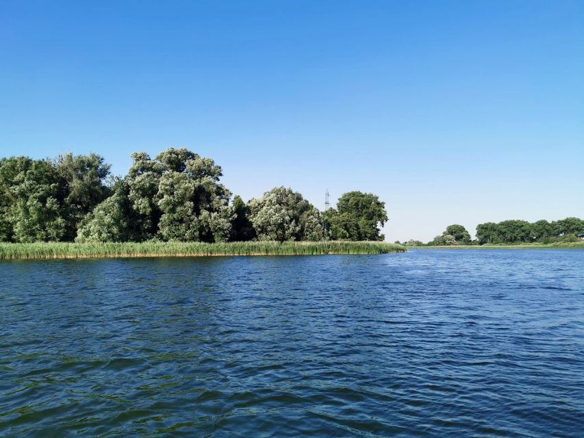 Działka rekreacyjna Trzemeszno