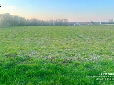 Działka Pisarzowice