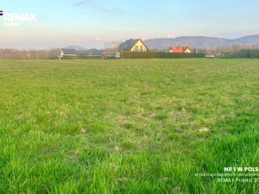 Działka Pisarzowice