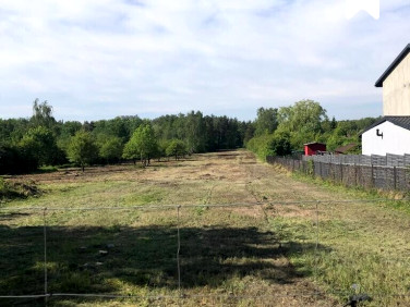 Działka Dąbrowa Górnicza