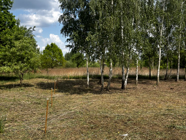 Działka budowlana Borzęcin Duży