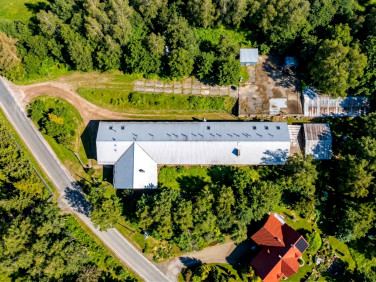 Lokal krakowski