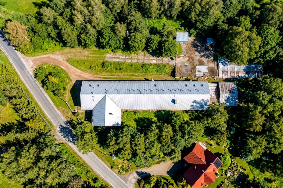 Lokal krakowski