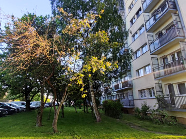Mieszkanie Łódź sprzedaż
