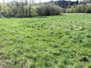 Działka inna myślenicki