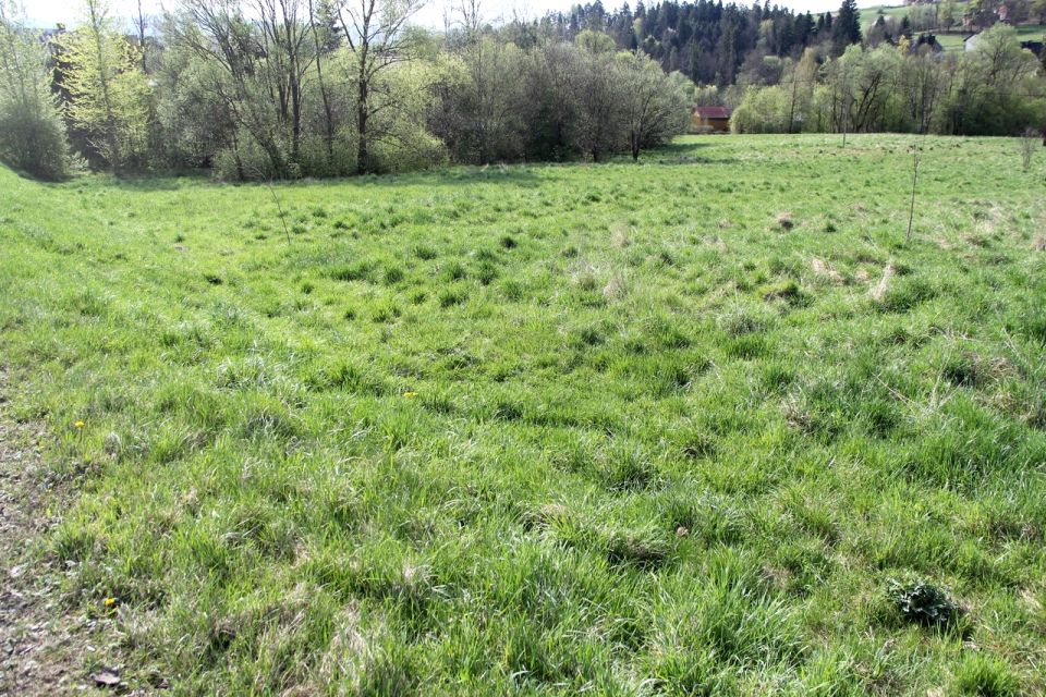 Działka inna myślenicki