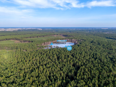 Działka leśna Broda