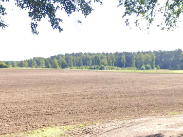 Działka nad jeziorem