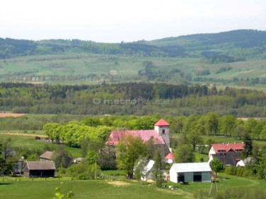 Działka rolna Bystrzyca Kłodzka