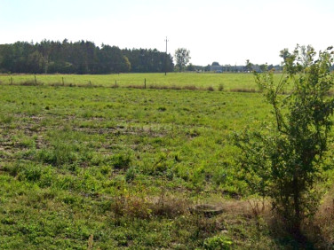 Działka Złotkowo