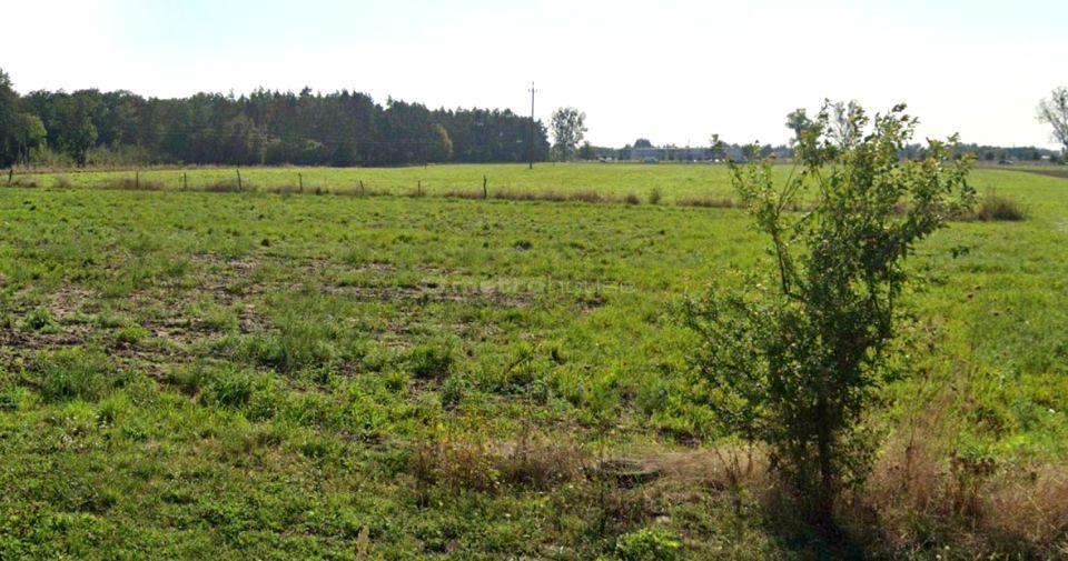 Działka Złotkowo