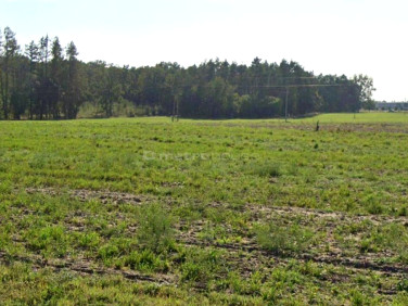 Działka budowlana Złotkowo