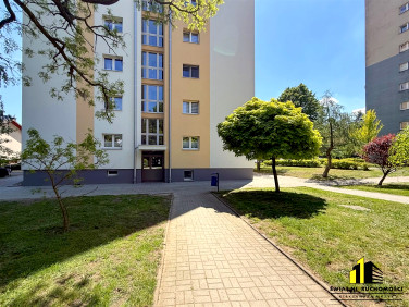 Mieszkanie Bielsko-Biała