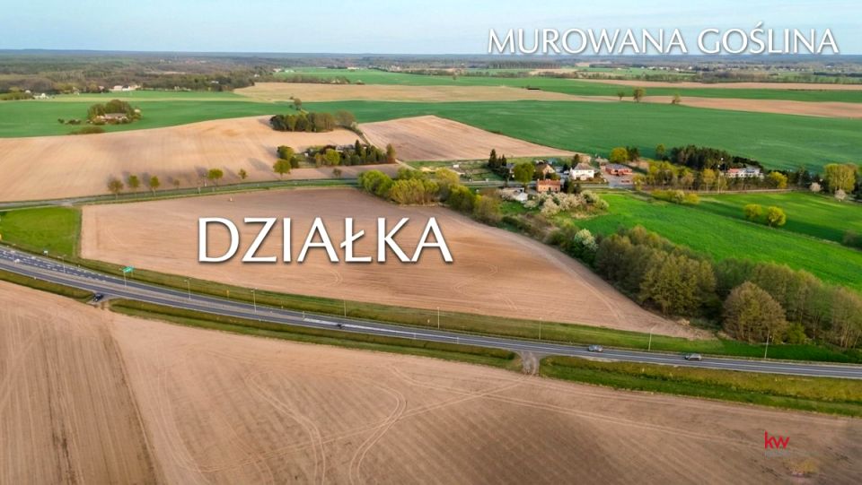 Zdjęcie 2