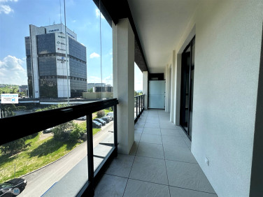 Lokal Kielce