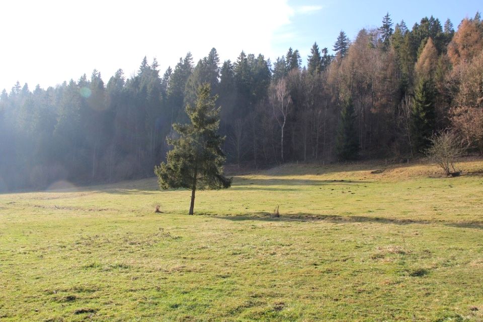 Działka budowlano-rolna nowotarski