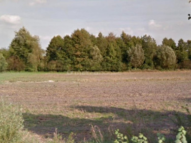 Działka Międzylesie