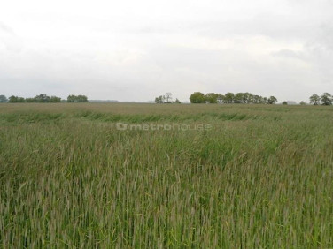 Działka inwestycyjna Jankowice