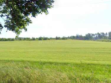 Działka Czerwonak
