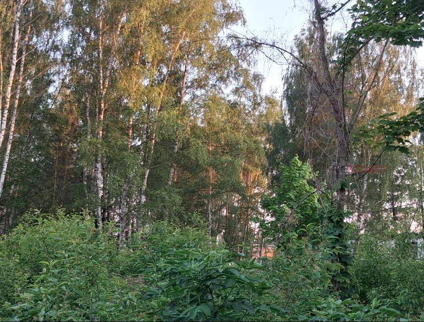 Działka budowlana Łazy