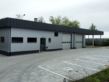 Lokal Kielce