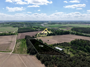 Działka usługowa Olsztynek