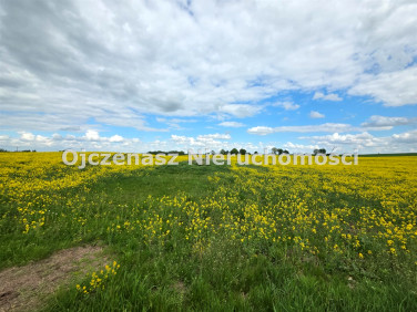 Działka siedliskowa Gliszcz