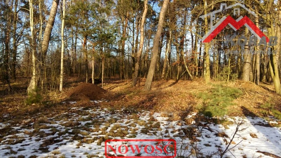 Działka budowlana Wola Pasikońska