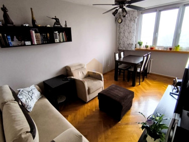 Mieszkanie Legnica