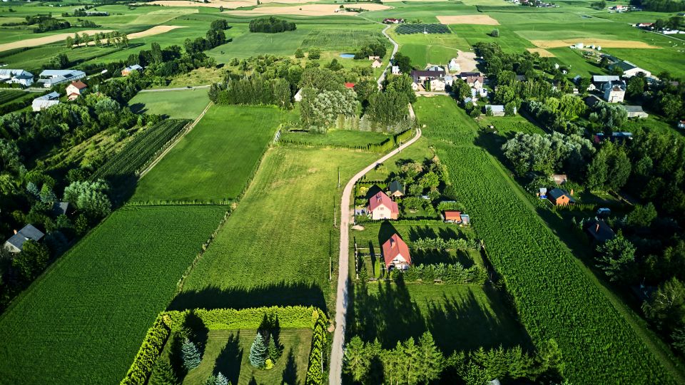 Zdjęcie 3