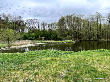Działka budowlana Silno