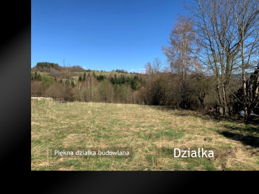 Działka budowlana Żywiec