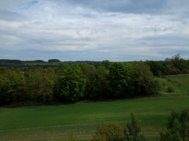 Działka Pomocne
