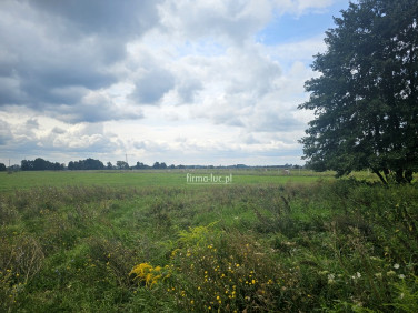 Działka Prądocin