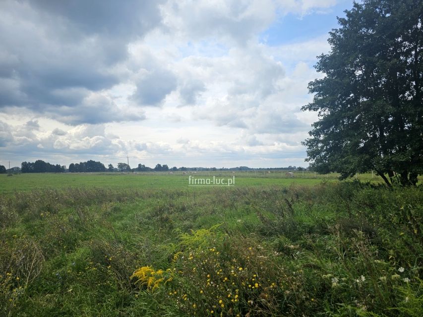 Działka Prądocin