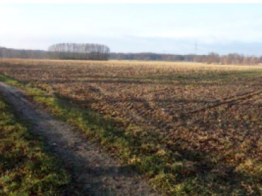 Działka rolna Grabostów