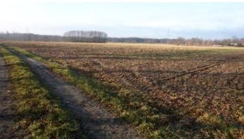 Działka rolna Grabostów