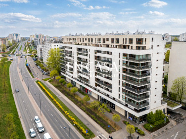 Lokal Warszawa