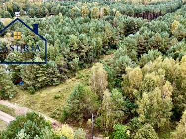 Działka siedliskowa Jamielnik