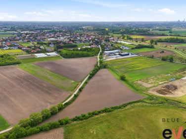 Działka Szymanów
