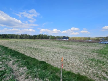 Działka Głowaczowa
