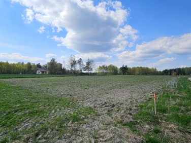Działka Głowaczowa