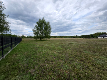 Działka budowlana Grzepnica